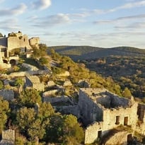 Venez découvrir le château d'Allègre !