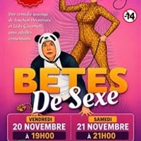 Bêtes de sexe