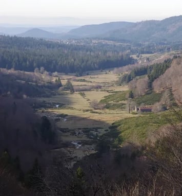 Randonnée sur l'Aigoual : "Patrimoine en péril : raviver, résister, réimaginer"