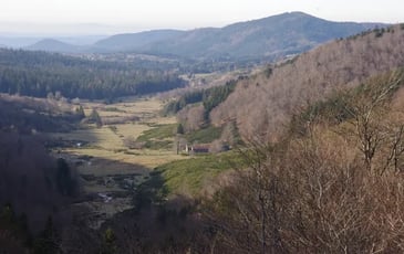 Randonnée sur l'Aigoual : "Patrimoine en péril : raviver, résister, réimaginer"