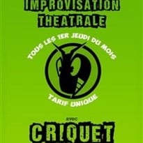 Improvisation avec les Criquets