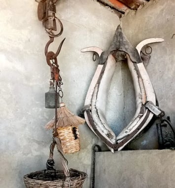 Retours aux sources : l'exposition