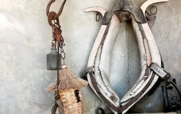 Retours aux sources : l'exposition