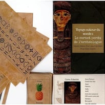 Le carnet perdu de l'archéologue