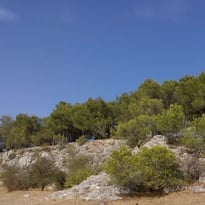 Balade : patrimoine naturel et bâti de la colline du moulin à vent