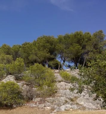 Balade : patrimoine naturel et bâti de la colline du moulin à vent