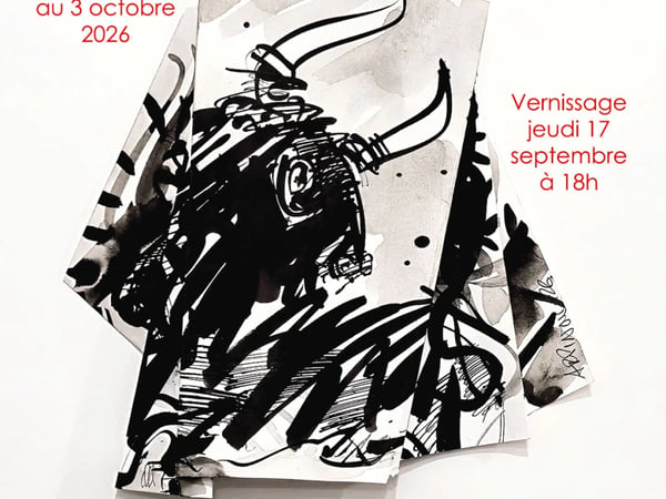 Exposition personnelle Laurent Arpinon