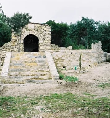 Circuit : découverte du domaine d'Escatte à Courbessac