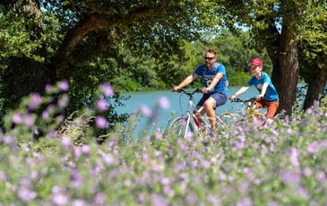 Visite à vélo : tous en selle !