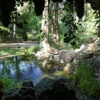 Visite commentée du jardin remarquable des Oules