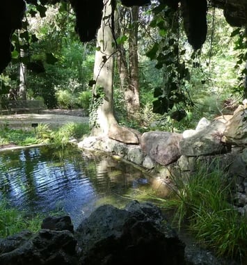 Visite commentée du jardin remarquable des Oules