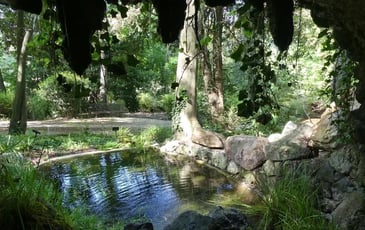 Visite commentée du jardin remarquable des Oules