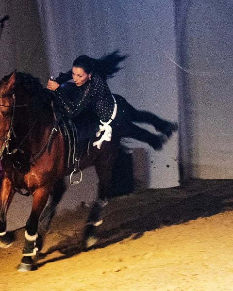 Réveillon et Jour de l'An – Cabaret équestre de Camargue