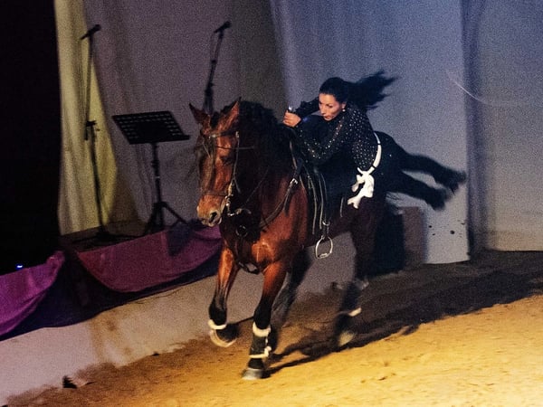 Réveillon et Jour de l'An – Cabaret équestre de Camargue